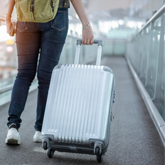 Collection image for: Luggage
