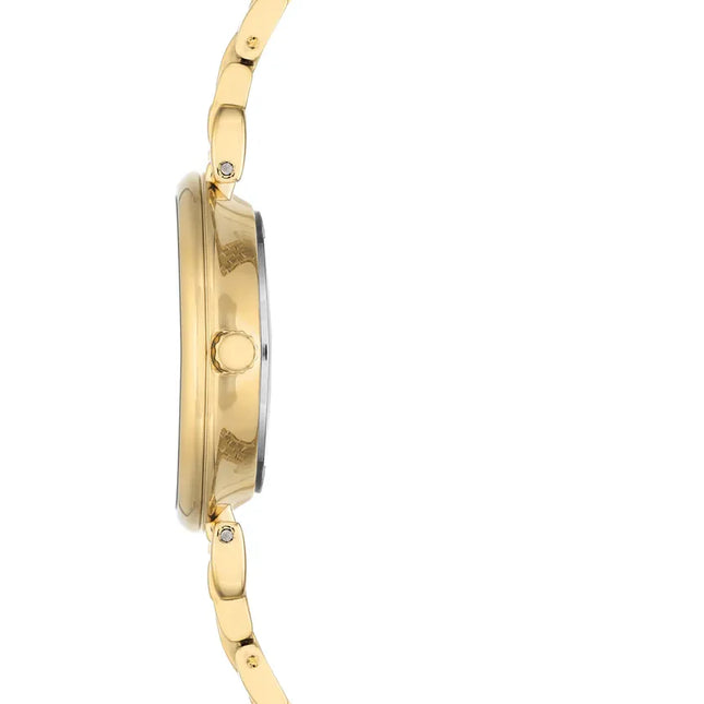 Anne Klein Women’s Watch - Model AK/2158GYGB
