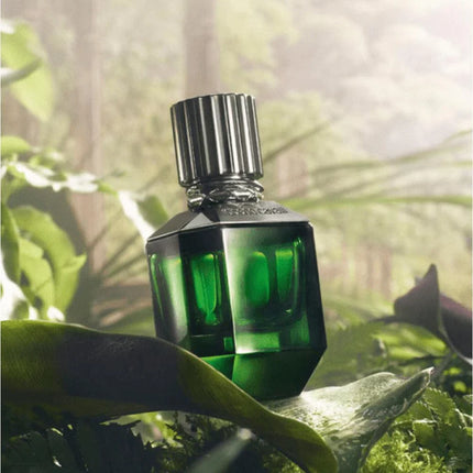 Roberto Cavalli Paradise Found for Men EDT 75ml-xpressionsstyle