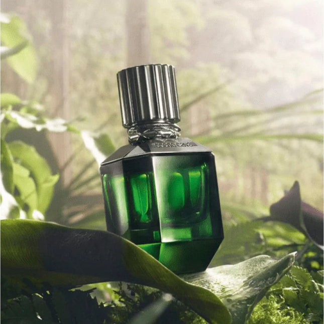 Roberto Cavalli Paradise Found for Men EDT 75ml-Impulse Warehouse UAE