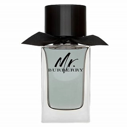 Burberry Mr Burberry for Men EDT 100ml-xpressionsstyle