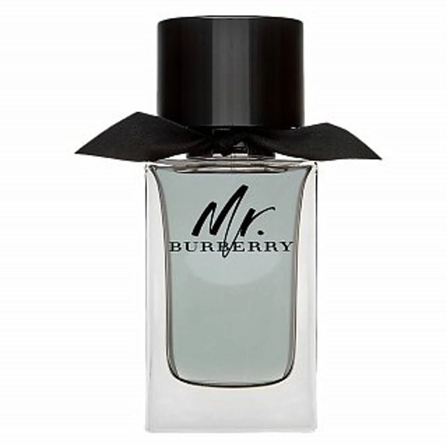 Burberry Mr Burberry for Men EDT 100ml-xpressionsstyle