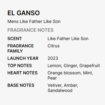 El Ganso Like Father Like Son Eau De Parfum for Men 125ml