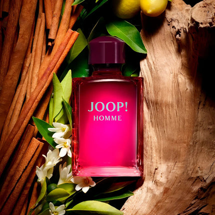 Joop! Cologne for Men Spray EDT 75ml-xpressionsstyle